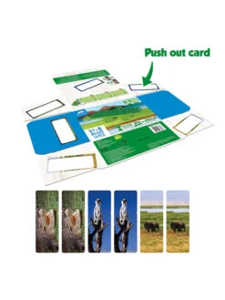 BiOBUDDi Bausteine "Crocodile" - Ab 18 Monaten -Kind Verwandt biobuddi bausteine crocodile ab 18 monaten 2