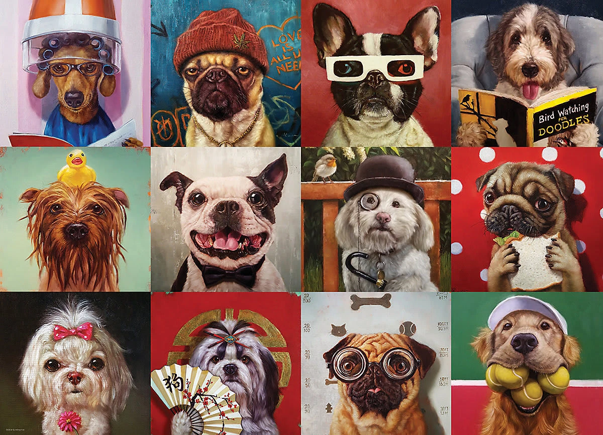 Eurographics Puzzle 1000 Teile-Lustige Hunde Von Lucia Heffernan 2 Eurographics Puzzle 1000 Teile-Lustige Hunde Von Lucia Heffernan – Bild 2