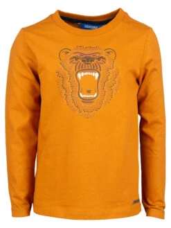 Longsleeve In Orange
